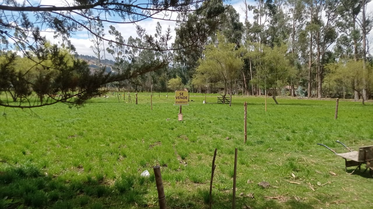Hermoso Terreno de 1 Ha muy cerca a la ciudad